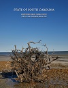 FY 2019 - FY 2020 CAFR cover image